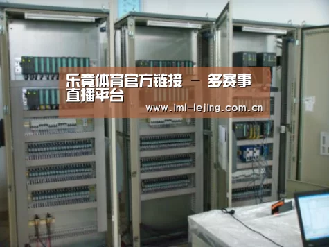 lejing案例展示五(图1)