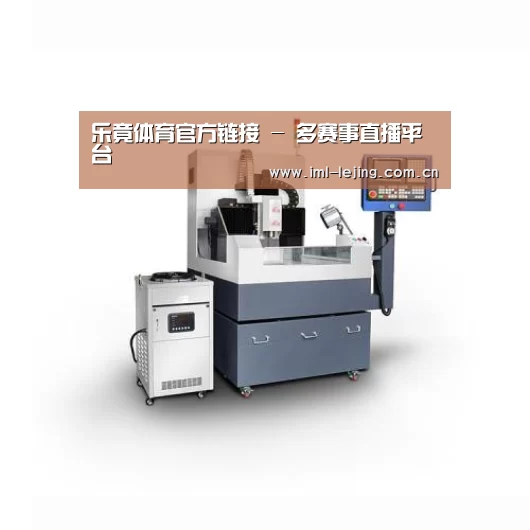lejing产品名称四