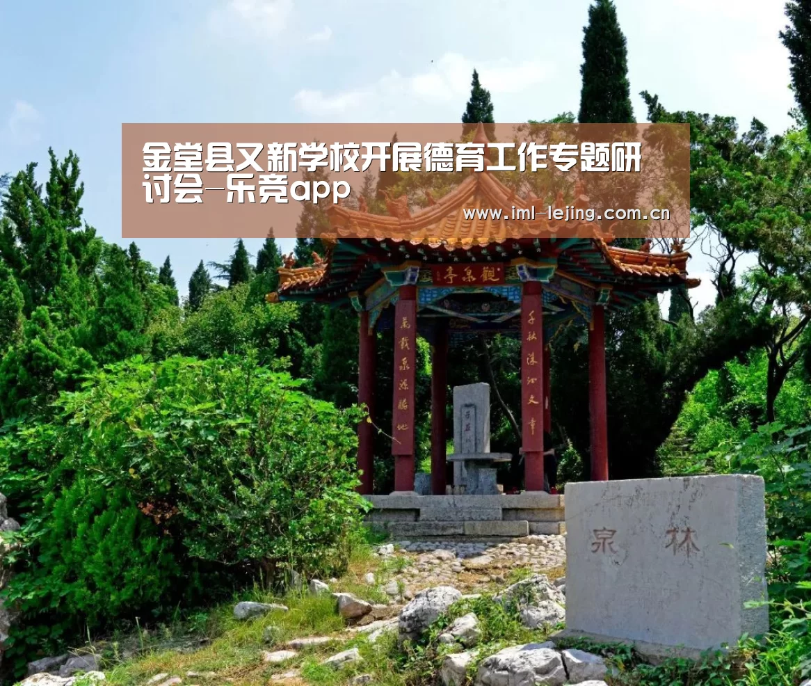 金堂县又新学校开展德育工作专题研讨会-乐竞app(图2) 乐竞首页