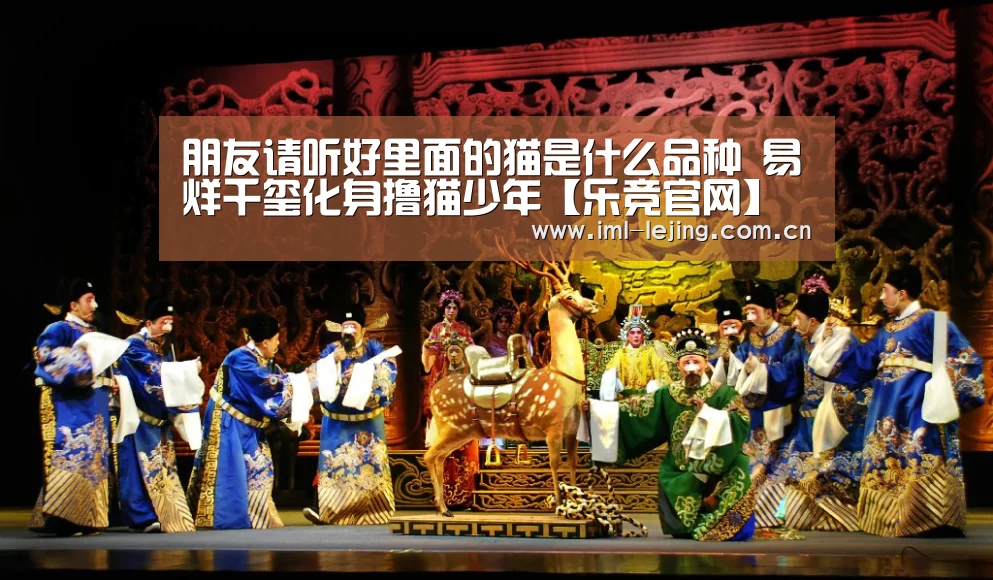朋友请听好里面的猫是什么品种 易烊千玺化身撸猫少年【乐竞官网】(图1)