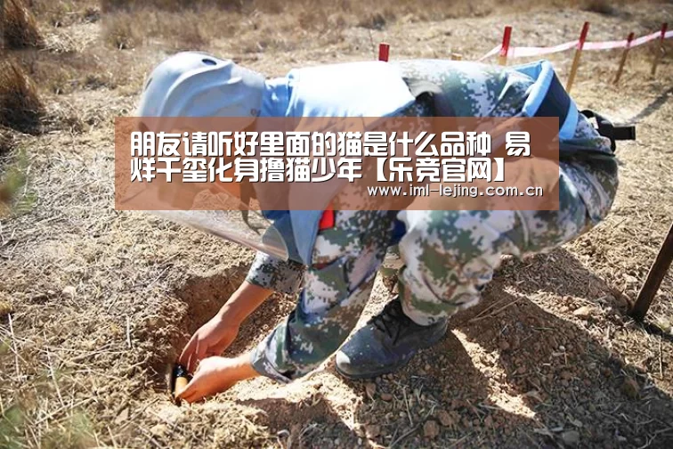 乐竞