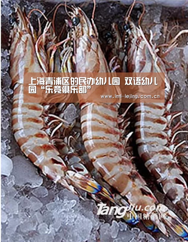 乐竞