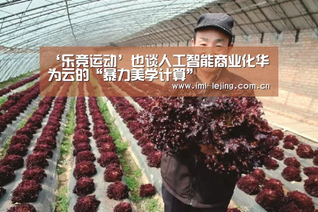‘乐竞运动’也谈人工智能商业化华为云的“暴力美学计算”(图4)