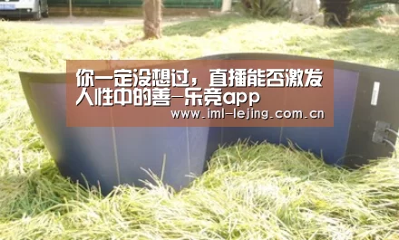 乐竞